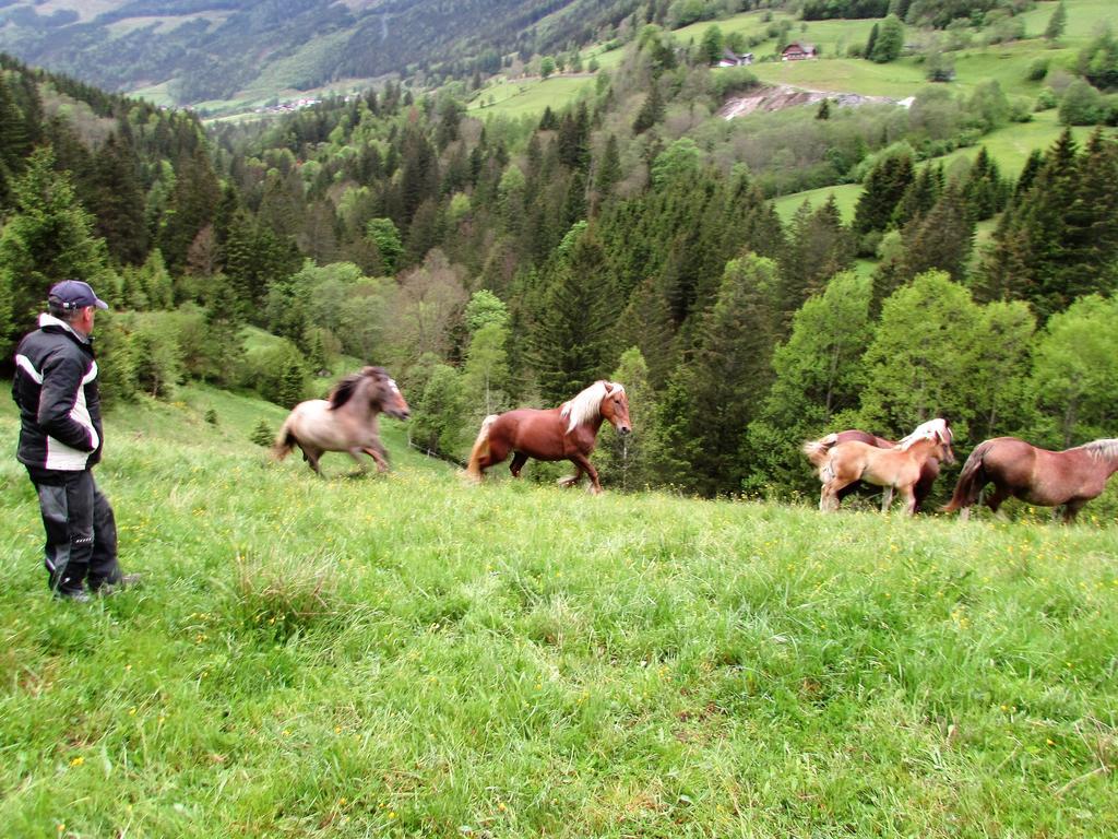 Ferienwohnungen Maderebner Grobming Exterior foto